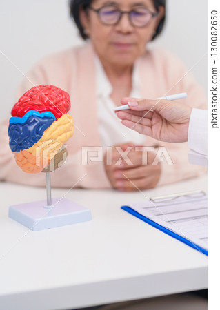 Elderly Patient consulting Doctor to Brain disease, Senior Health Medical Diagnosis. Anatomy Brain model for Explanation, Brain Tumor, neurological disorders, Dementia, alzheimer, parkinson and Mental 130082650