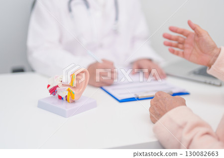 Elderly Patient consulting Doctor to Ear disease. Senior Health Medical Diagnosis. Anatomy Ear model for Atresia, Otitis Media, Pertorated Eardrum, Meniere syndrome, otolaryngologist, Hearing Loss Elderly Patient consulting Doctor to Ear disease. Senior Health Medical Diagnosis. Anatomy Ear model for Atresia, Otitis Media, Pertorated Eardrum, Meniere syndrome, otolaryngologist, Hearing Loss 130082663