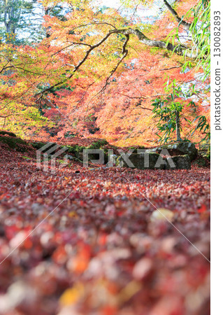 A mountain that turned red leaves A mountain that turned red leaves 130082893