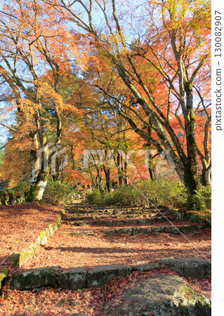 A mountain that turned red leaves A mountain that turned red leaves 130082907