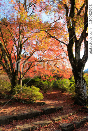 A mountain that turned red leaves 130082908