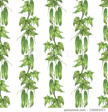 Cucumbers plant branch vertical striped seamless pattern. Growing Vegetables with green leaf, curling tendril hanging on vine Hand drawn watercolor illustration, wallpaper on Isolated white background 130083077