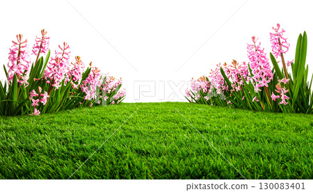 Colorful spring flowers blooming in bright green meadow isolated on white background. Colorful spring flowers blooming in bright green meadow isolated on white background. 130083401