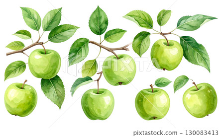 Fresh green apple on white background 130083413