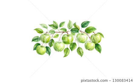 Fresh green apple on white background 130083414