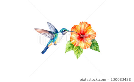 Colorful tropical birds flying with wings spread. Colorful flowers illustration on white background. Colorful tropical birds flying with wings spread. Colorful flowers illustration on white background. 130083428