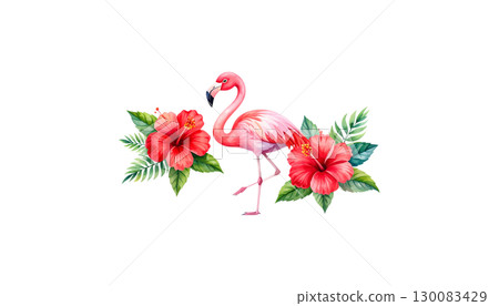 Pink flamingo isolated on white background Pink flamingo isolated on white background 130083429