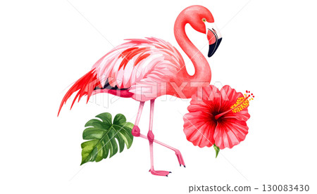 Pink flamingo isolated on white background Pink flamingo isolated on white background 130083430