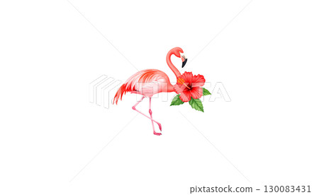 Pink flamingo isolated on white background Pink flamingo isolated on white background 130083431