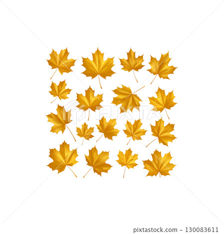 Vibrant illustration of colorful autumn maple leaves isolated on white background. 130083611