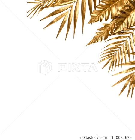 Collection of golden leaves and flower branches isolated on white background. Collection of golden leaves and flower branches isolated on white background. 130083675