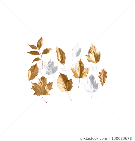 Collection of golden leaves and flower branches isolated on white background. 130083678
