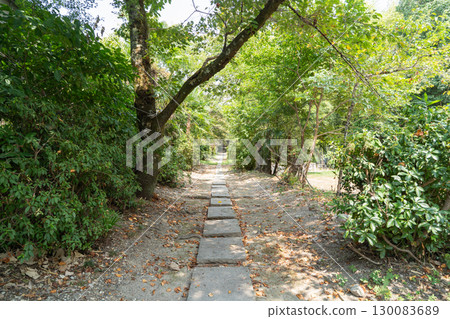 龍泉寺參道(大阪府富田林市) 龍泉寺參道(大阪府富田林市) 130083689