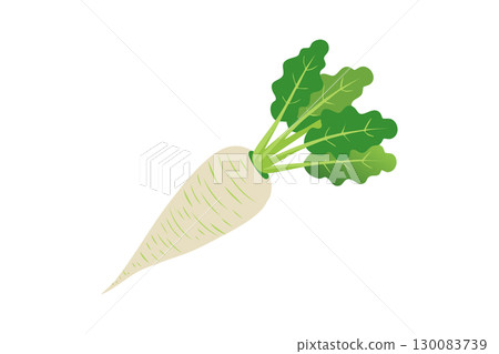 Radish illustration (png) Radish illustration (png) 130083739