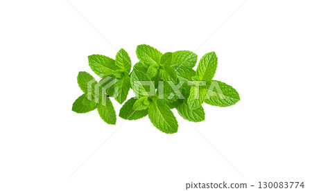 Fresh green mint leaves isolated on white background. Fresh green mint leaves isolated on white background. 130083774