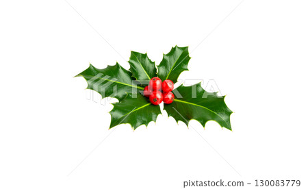 Christmas holly tree with red berries, green leaves, festive decorations isolated on white background. 130083779
