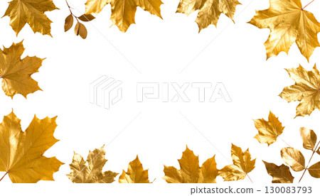 Colorful autumn maple leaves in shades of orange, yellow and red isolated on white background. 130083793