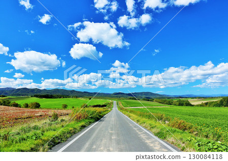 The blue sky of Hokkaido summer and the way of Biei 130084118