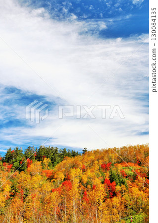 Hokkaido Tokachidake of autumn blue sky and colored leaves Hokkaido Tokachidake of autumn blue sky and colored leaves 130084135