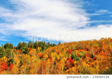 Hokkaido Tokachidake of autumn blue sky and colored leaves 130084136
