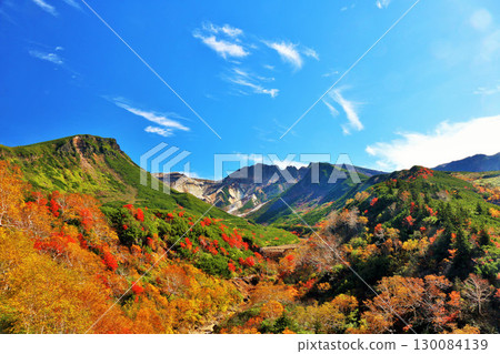 秋天藍天和色的葉子北海道Tokachidake 秋天藍天和色的葉子北海道Tokachidake 130084139