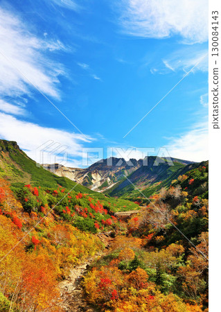 Hokkaido Tokachidake of autumn blue sky and colored leaves 130084143