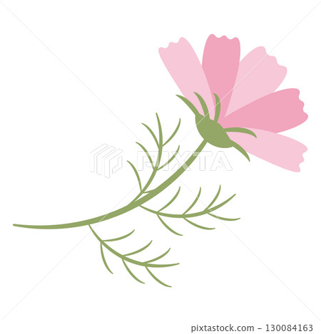 Simple cosmos flower - side view 130084163
