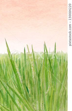 Watercolor sunset sky and rice field landscape [hand-drawn] with copy space 130084220