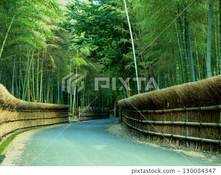 The beautiful bamboo forest path of "Bamboo Path" in Muko City, Kyoto Prefecture 130084347