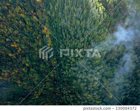 Autumn forest aerial drone view Autumn forest aerial drone view 130084372