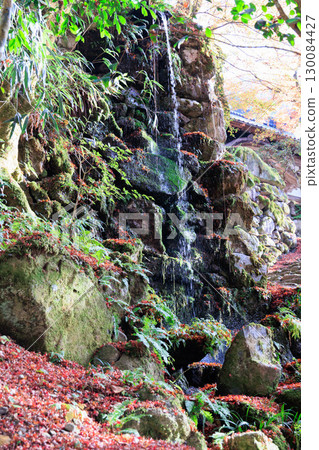Mossy rocks with flowing water (fallen autumn leaves) 130084427
