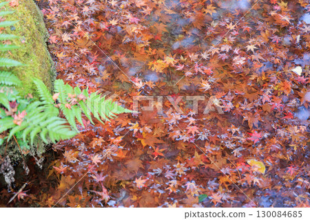 A pond filled with fallen autumn leaves A pond filled with fallen autumn leaves 130084685