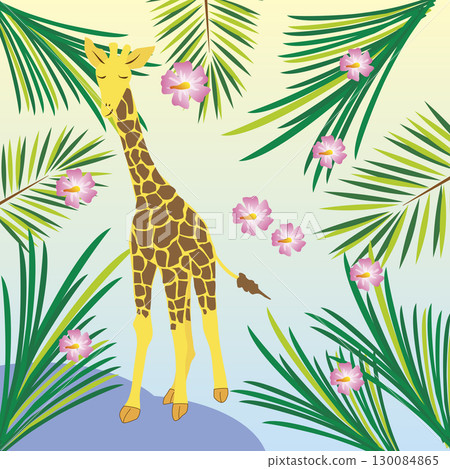 長頸鹿圖片 長頸鹿圖片 130084865