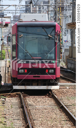 Toden Arakawa Line with blooming roses 130084929