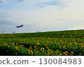 Sunflowers and planes 130084983