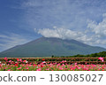 Mount Fuji  130085027