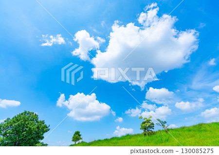 藍天和雲彩和大草原 藍天和雲彩和大草原 130085275
