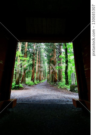 The approximately 2km approach to the sacred Mount Togakushi continues straight ahead... Togakushi Shrine, Okusha [Zuishinmon Gate] 130085307