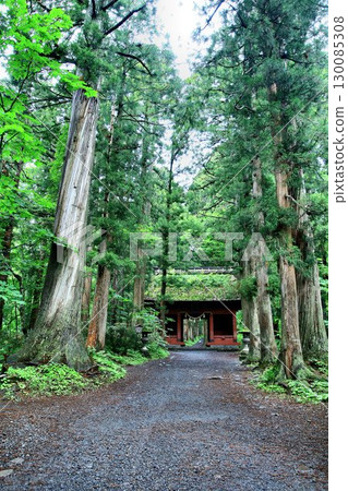 通往神聖的戶隱山的參道約2公里，繼續筆直前行……戶隱神社、奧社[隨神門] 130085308
