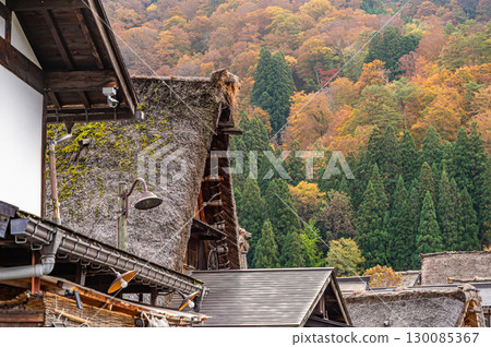 Shirakawago染色在秋天顏色 130085367