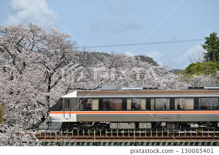 KIHA 85系飛驒特快列車橫跨盛開的新境川 KIHA 85系飛驒特快列車橫跨盛開的新境川 130085401