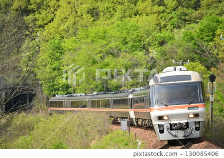 Kiha 85 series Hida express train going through the Sakahogi curve 130085406