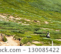 登山者行走在十勝山脈鬱鬱蔥蔥的綠色高原上（北海道大雪山山脈、富良野、美瑛、旭川地區） 130085422