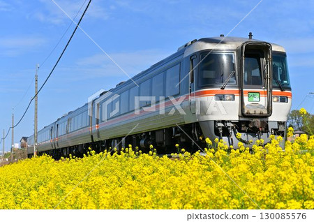 Rape blossoms and Kiha 85 series Hida express train 130085576