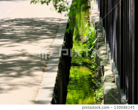 Kakunodate Town's Samurai Residence Street: An old waterway reflecting greenery Kakunodate Town's Samurai Residence Street: An old waterway reflecting greenery 130086145