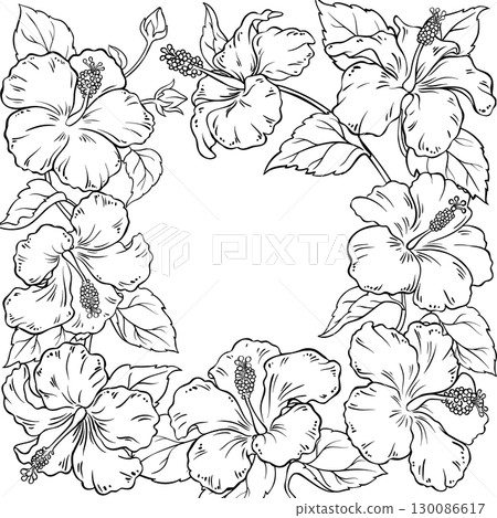 Hibiscus Branch with Flowers Outline Frame 130086617