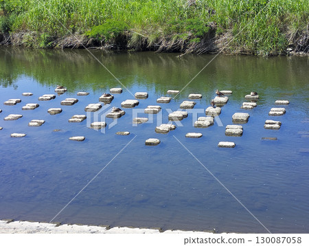 斑嘴鴨在河裡的踏腳石上休息 130087058