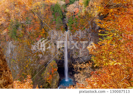 Shiramizu Falls surrounded by autumn leaves 130087513
