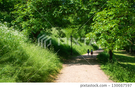 Children wolking in the park. Alone outside. Boy and girls are looking for a way out of the forest. Children wolking in the park. Alone outside. Boy and girls are looking for a way out of the forest. 130087597