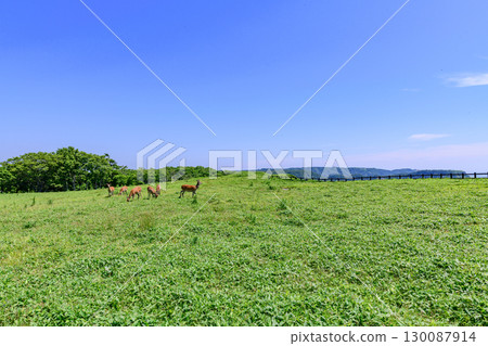Akkeshi Town, Hokkaido - Cape Aikappu, a place of love and romance 130087914